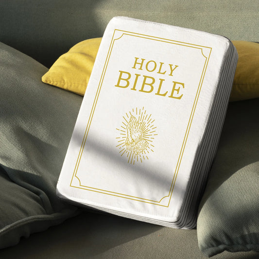 pillow bilble