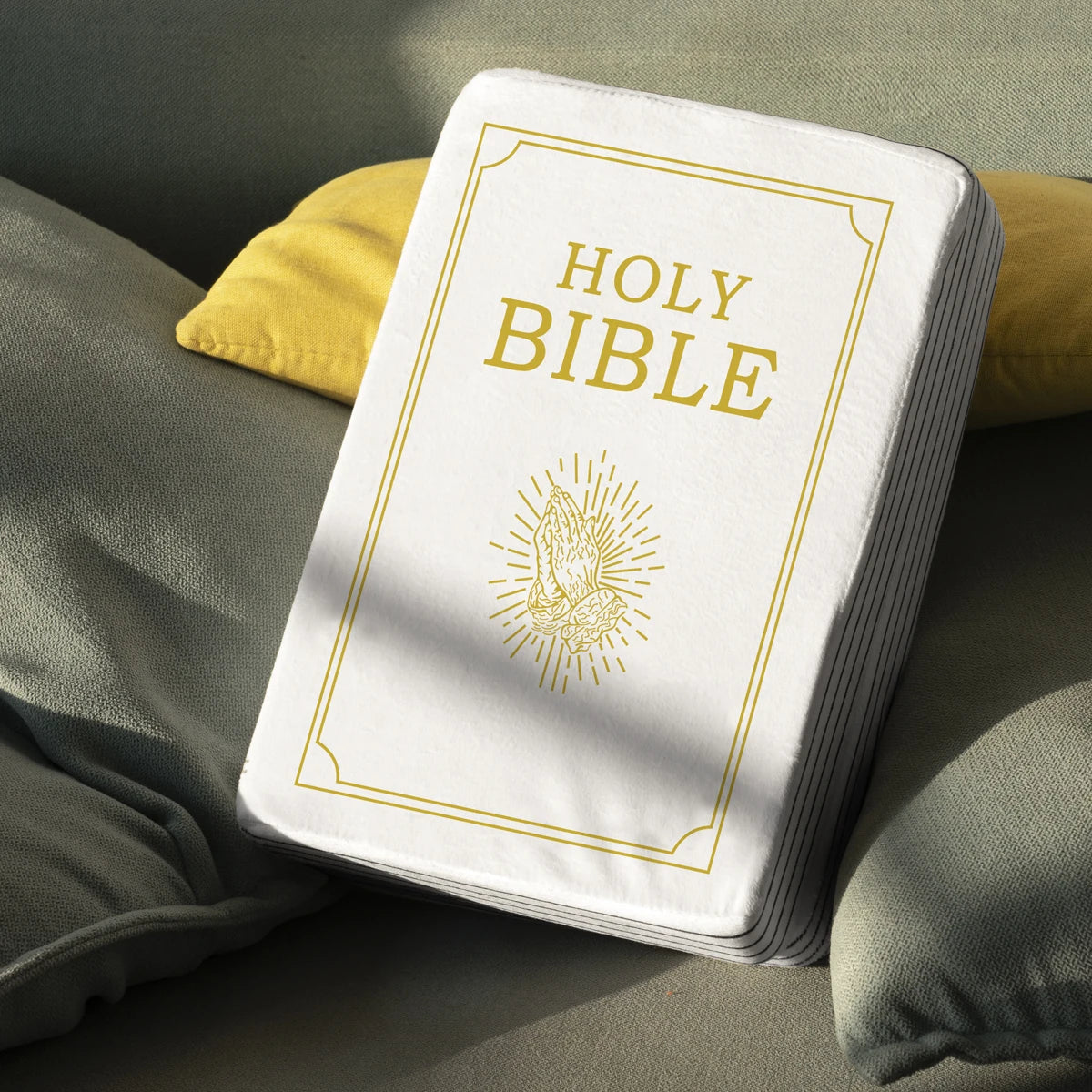 pillow bilble